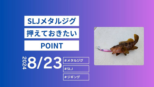 SLJメタルジグ|これだけは押さえておきたいポイント